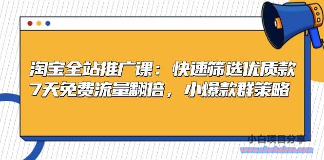 (13184期)淘宝全站推广课:快速筛选优质款,7天免费流量翻倍,小爆款群策略