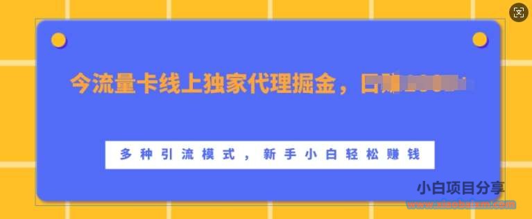 流量卡线上独家代理掘金,日入1k+ ,多种引流模式,新手小白轻松上手【揭秘】