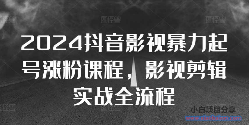 2024抖音影视暴力起号涨粉课程，影视剪辑搬运实战全流程-小白项目分享网