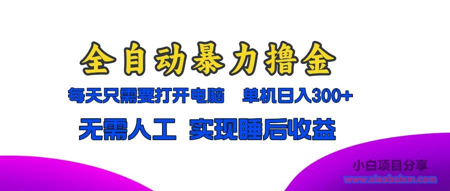 (13186期)全自动暴力撸金,只需要打开电脑,单机日入300+无需人工,实现睡后收益-小白项目分享网