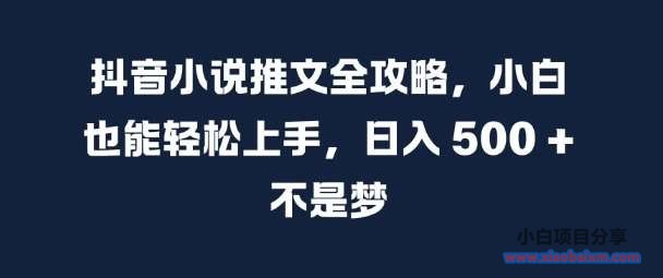 抖音小说推文全攻略,小白也能轻松上手,日入 5张+ 不是梦【揭秘】-小白项目分享网
