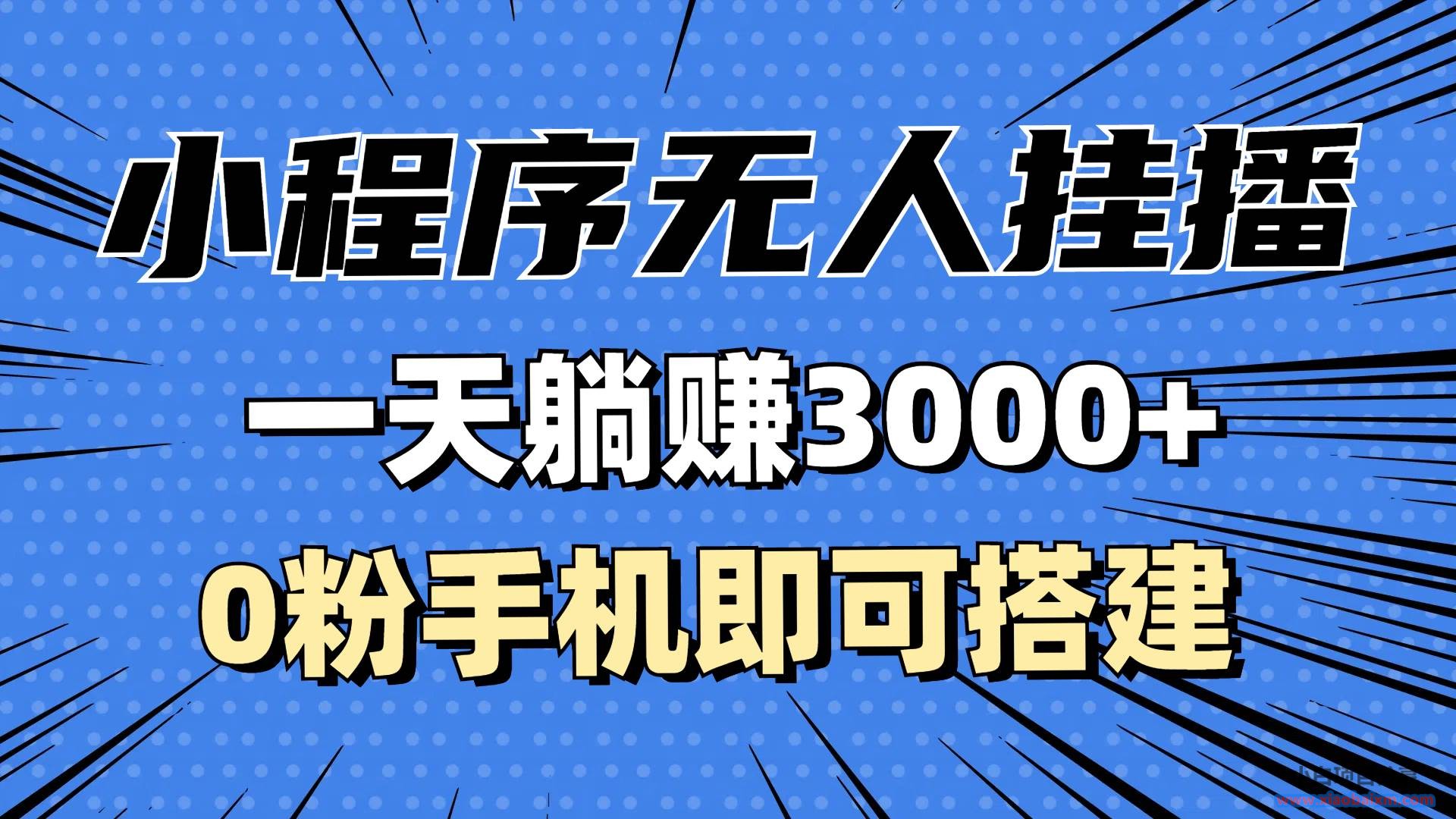 （13210期）抖音小程序无人直播，一天躺赚3000+，0粉手机可搭建，不违规不限流，小...-小白项目分享网