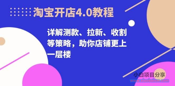 (13202期)淘宝开店4.0教程,详解测款、拉新、收割等策略,助你店铺更上一层楼-小白项目分享网