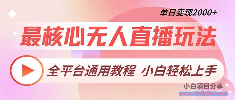 (13221期)最核心无人直播玩法,全平台通用教程,单日变现2000+-小白项目分享网