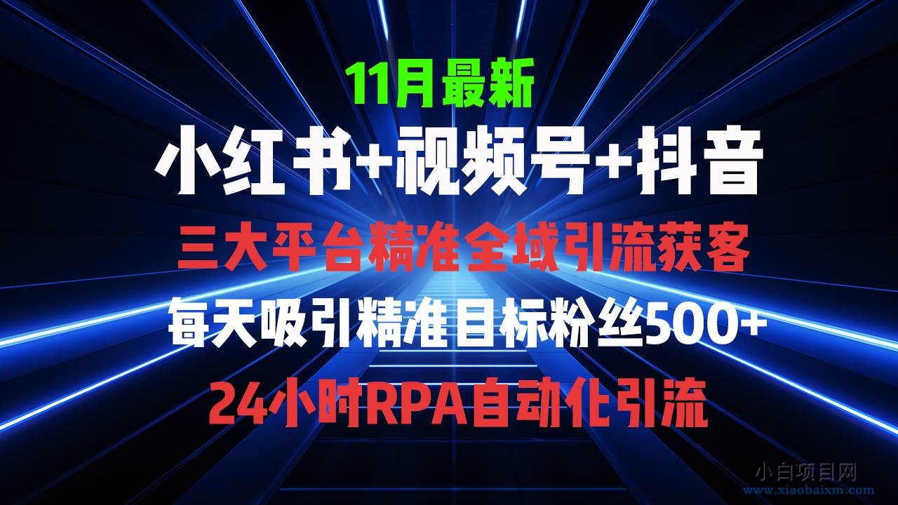 全域多平台引流私域打法，小红书，视频号，抖音全自动获客，截流自...-小白项目分享网