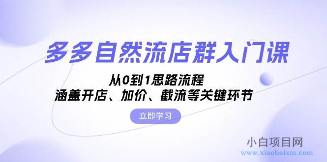 多多自然流店群入门课,从0到1思路流程,涵盖开店、加价、截流等关键环节-小白项目分享网