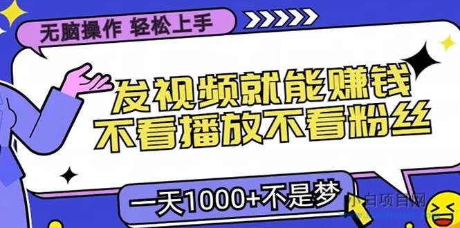 无脑操作,只要发视频就能赚钱?不看播放不看粉丝,小白轻松上手,一天…-小白项目分享网