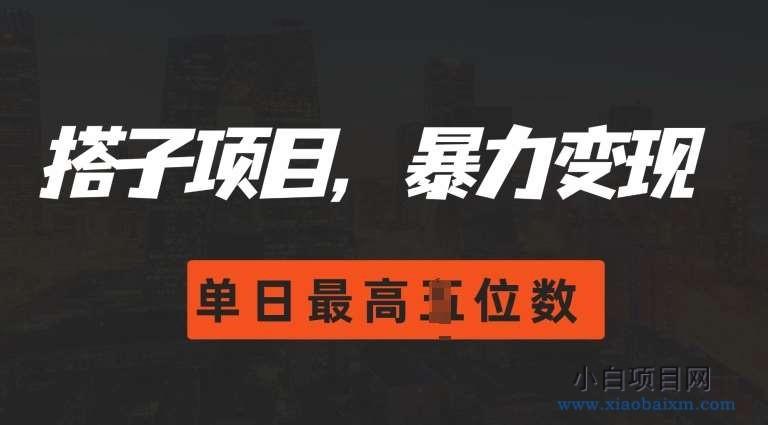 2024搭子玩法,0门槛,暴力变现,单日最高破四位数【揭秘】-小白项目分享网