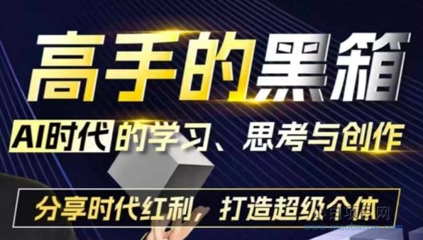 高手的黑箱:AI时代学习、思考与创作-分红时代红利,打造超级个体-小白项目分享网