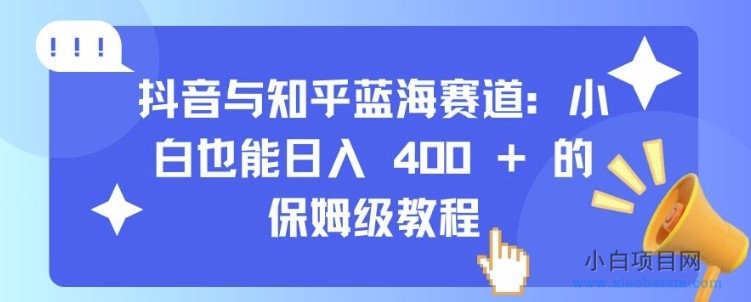抖音与知乎蓝海赛道:小白也能日入 4张 的保姆级教程-小白项目分享网