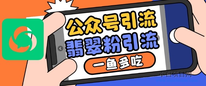 公众号利用推荐流量和搜一搜流量引流翡翠粉,一鱼多吃-小白项目分享网