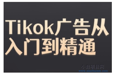 TIKTOK ADS实操教程,TIKTOK广告从入门到精通-小白项目分享网