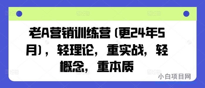 老A营销训练营:109节课程,实战为王,本质至上(24年11月全新)-小白项目分享网