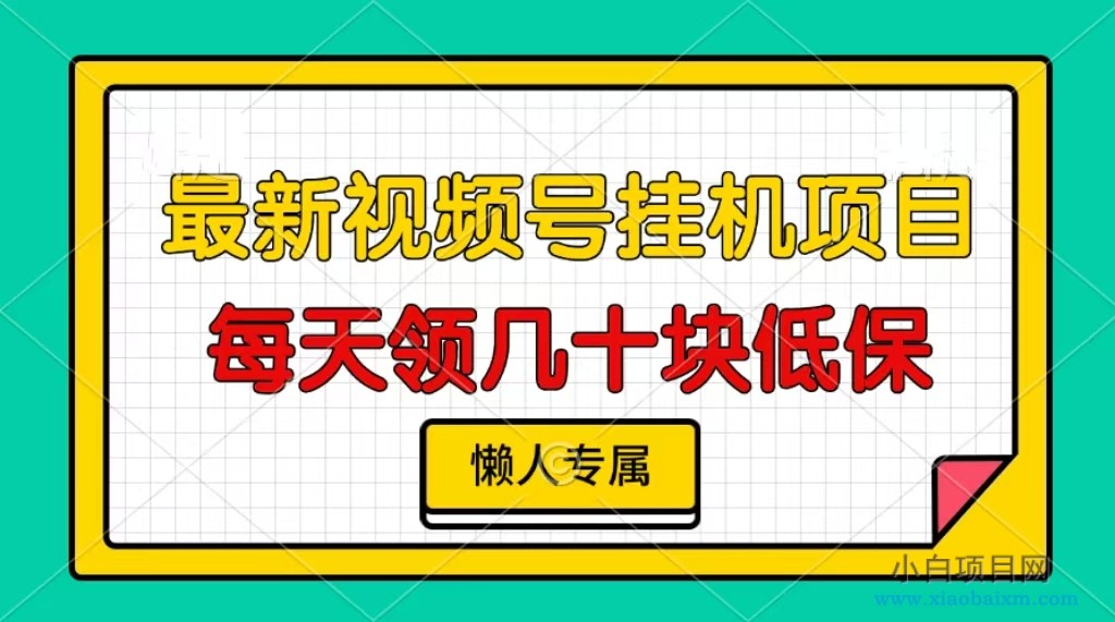 视频号挂机项目,每天几十块低保,懒人专属-小白项目分享网