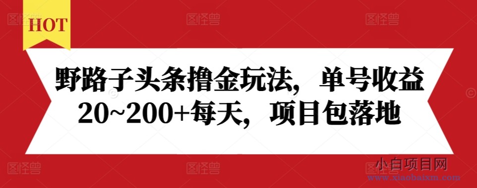 野路子头条撸金玩法,单号收益20~200+每天,项目包落地-小白项目分享网