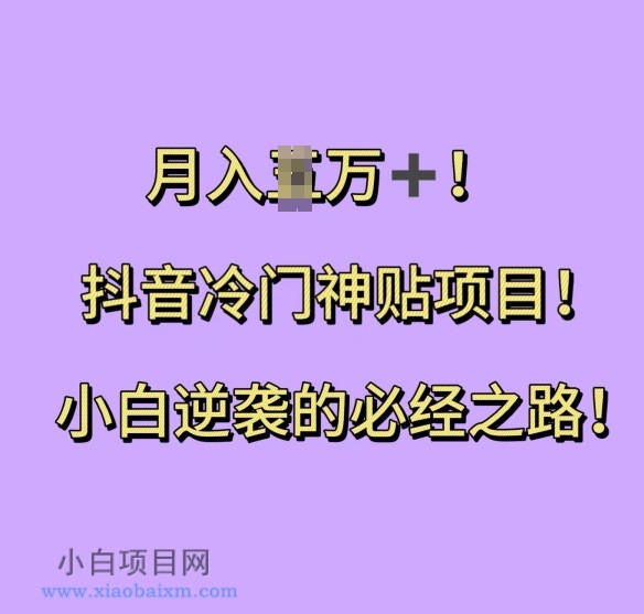 抖音冷门神贴项目,小白逆袭的必经之路,月入过W-小白项目分享网