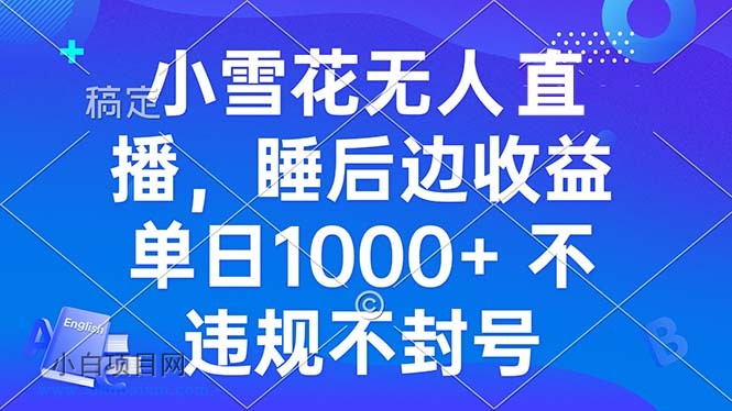 小雪花无人直播 睡后收益单日1000+ 零粉丝新号开播 不违规 看完就会-小白项目分享网