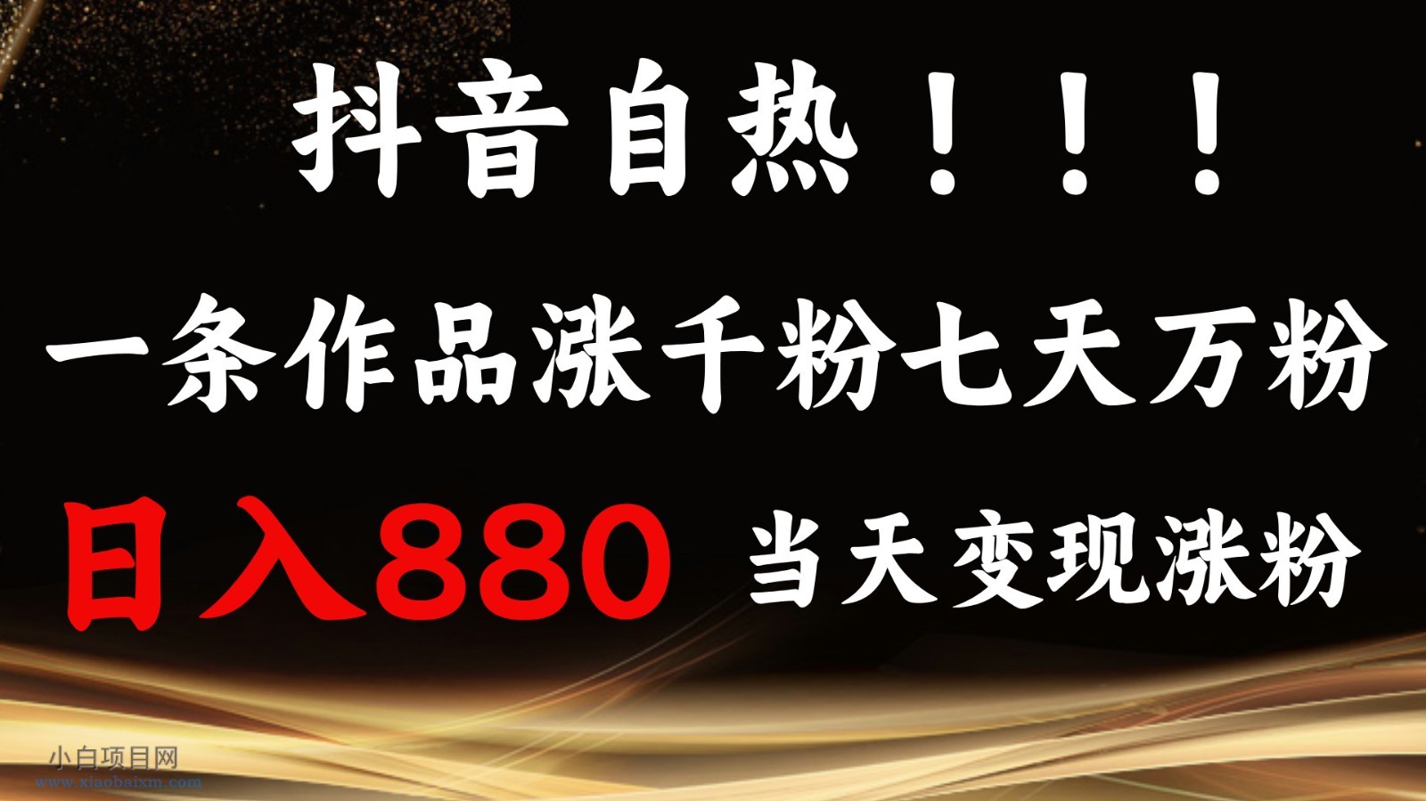 抖音小红书自热，一条作品1000粉，7天万粉，单日变现880收益-小白项目分享网
