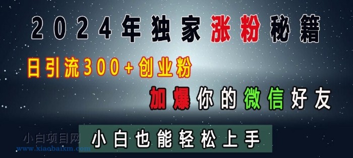 2024年独家涨粉秘籍,日引流300+创业粉,加爆你的微信好友,小白也能轻松上手-小白项目分享网