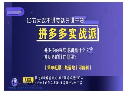 朋哥电商(拼多多实战派)，15节大课不讲废话只讲干货，简单粗暴 能落地 可复制-小白项目分享网
