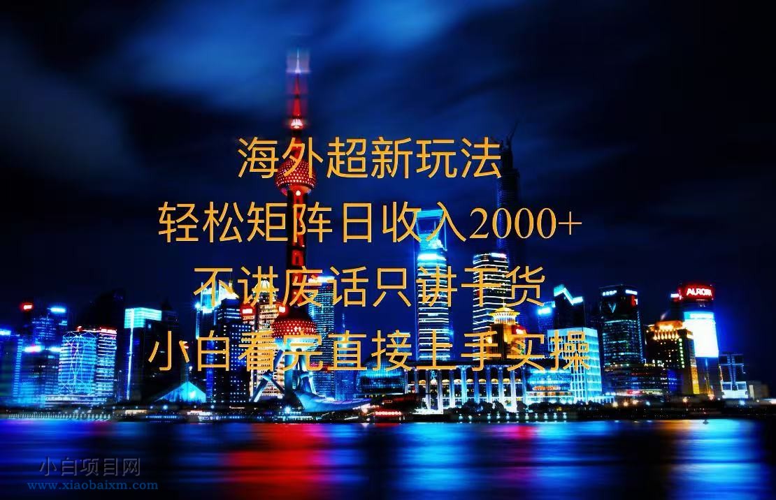 2025全新海外暴力玩法，操作简单，小白轻松上手-小白项目分享网