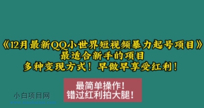 www.xiaobaixm.com下载完整创业项目 12月最新QQ小世界短视频暴力起号项目,最适合新手的项目,多种变现方式
