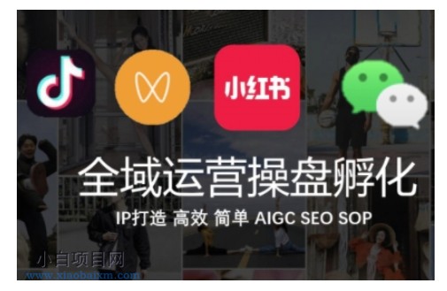 全域运营操盘(抖音+私域+小红书),IP打造高效简单