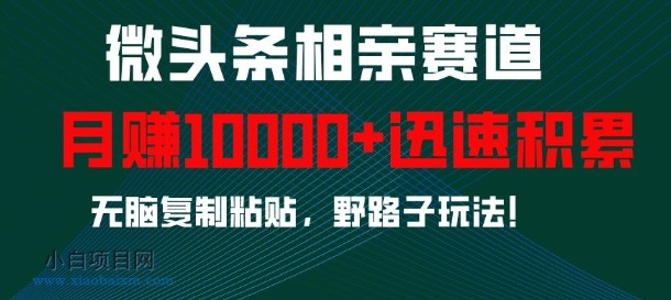 微头条相亲赛道，迅速积累，无脑复制粘贴，野路子玩法，月入1W-小白项目分享网