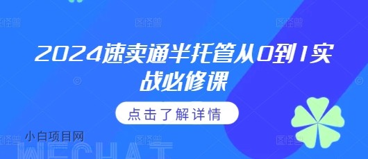 2024速卖通半托管从0到1实战必修课，掌握通投广告打法、熟悉速卖通半托管的政策细节-小白项目分享网