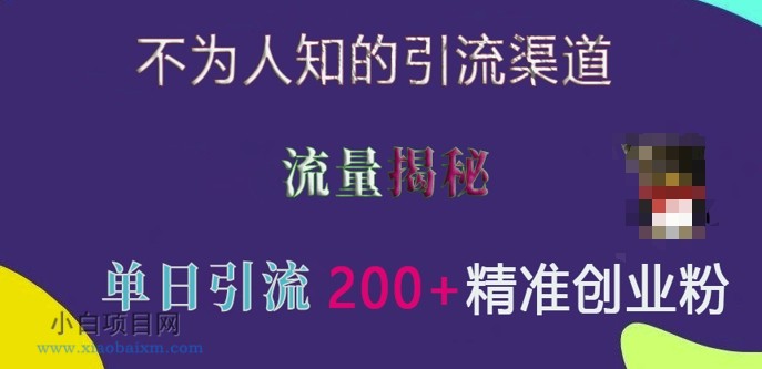 www.xiaobaixm.com下载完整创业项目 不为人知的引流渠道,流量揭秘,实测单日引流200+精准创业粉【揭秘】