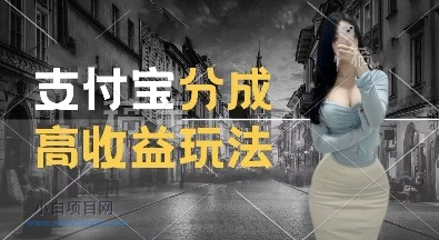 支付宝分成计划新玩法,利用交通事故视频,赚收益,轻松月入过W,操作简单【揭秘】-小白项目分享网