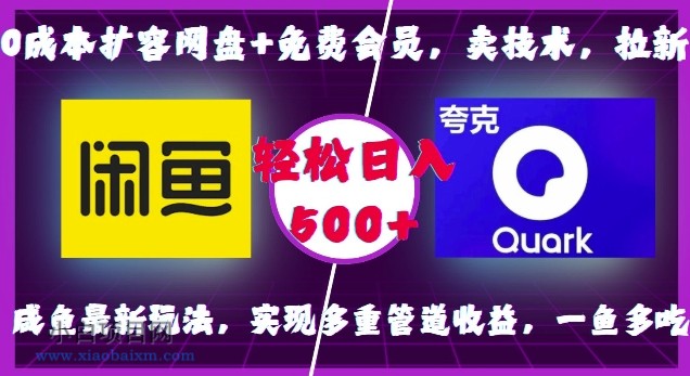 0成本扩容网盘+免费会员，卖技术，拉新，咸鱼最新玩法，实现多重管道收益，一鱼多吃，轻松日入500+-小白项目分享网