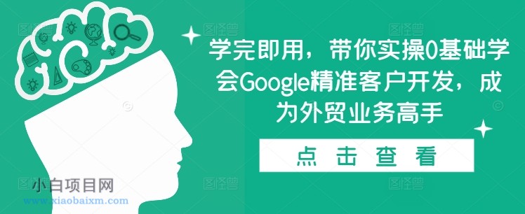 www.xiaobaixm.com下载完整创业项目 学完即用,带你实操0基础学会GOOGLE精准客户开发,成为外贸业务高手
