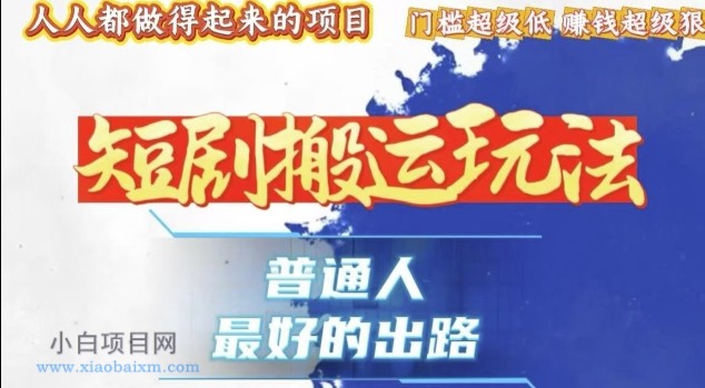 一条作品收益1K+，独家技术和黑科技首次公开，11纯搬，爆流爆粉嘎嘎猛，有手就能干【揭秘】-小白项目分享网