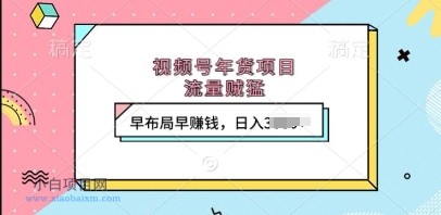 视频号年货项目,流量贼猛,早布局早挣钱,日入上K【揭秘】