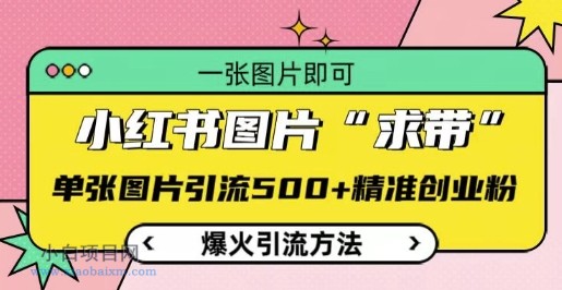 小红书图片‘求带’爆火引流法，单张图片引流500+精准创业粉【揭秘】-小白项目分享网