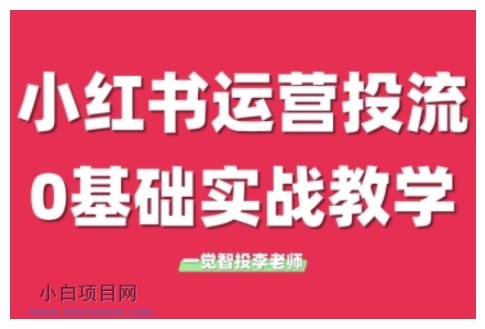 小红书运营投流，小红书广告投放从0到1的实战课，学完即可开始投放-小白项目分享网
