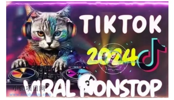 www.xiaobaixm.com下载完整创业项目 TIKTOK东南亚小店运营,TK跨境小店教程让学员能快速掌握实用的运营技巧