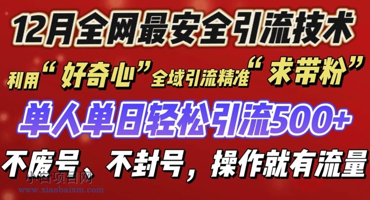 12 月份全网最安全引流创业粉技术来袭，不封号不废号，有操作就有流量【揭秘】-小白项目分享网