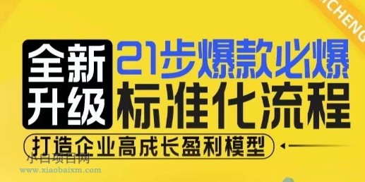 21步爆款必爆标准化流程,全新升级,打造企业高成长盈利模型