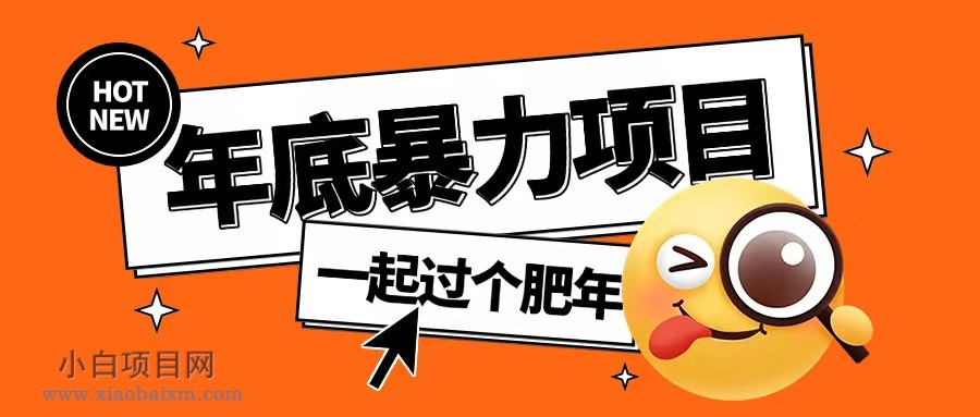 年底暴力项目，多开抢红包玩法简单无脑年底吃一波肉【揭秘】-小白项目分享网