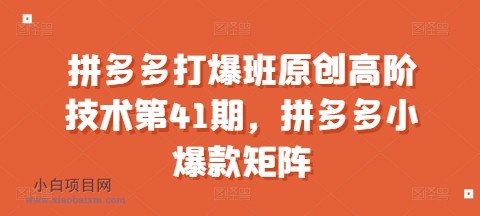 拼多多打爆班原创高阶技术第41期，拼多多小爆款矩阵-小白项目分享网