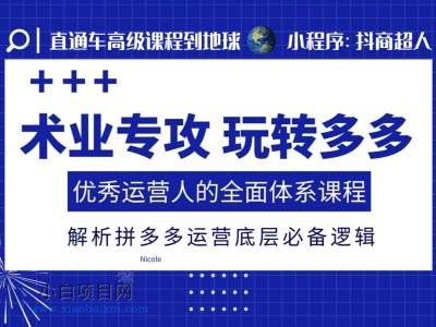 术业专攻玩转多多，优秀运营人的全面体系课程，解析拼多多运营底层必备逻辑-小白项目分享网