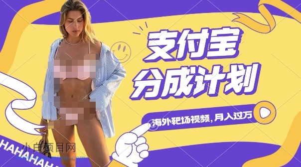 利用海外靶场射击视频，挣支付宝分成收益，轻松月入过W【揭秘】-小白项目分享网