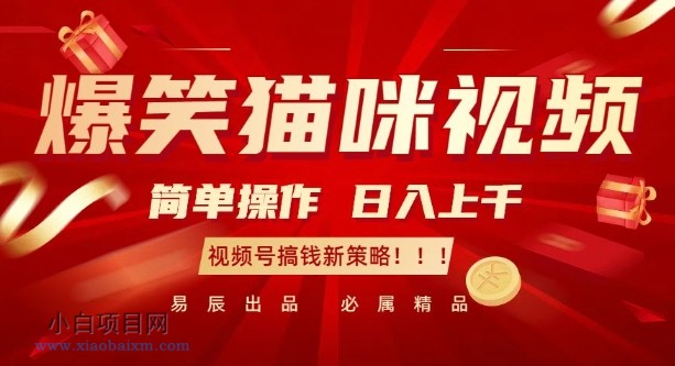 爆笑猫咪视频:简单操作,日入过K,视频号搞钱新策略【揭秘】