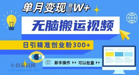 无脑搬运视频号可批量复制,新手即可操作,日引精准创业粉300+,月变现过W 【揭秘】