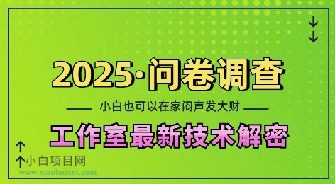 2025问卷调查最新工作室技术解密：一个人在家也可以闷声发大财，小白一天2张，可矩阵放大【揭秘】-小白项目分享网