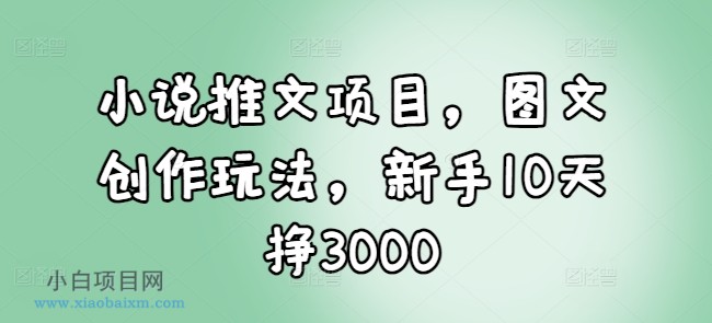 小说推文项目，图文创作玩法，新手10天挣3000-小白项目分享网