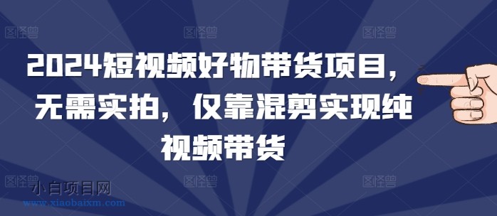 2024短视频好物带货项目，无需实拍，仅靠混剪实现纯视频带货-小白项目分享网