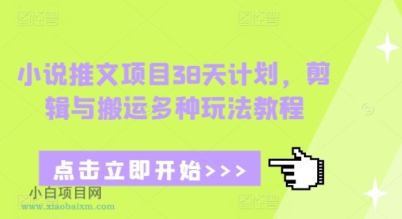 小说推文项目38天计划，剪辑与搬运多种玩法教程-小白项目分享网